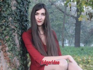 Didgeridoo