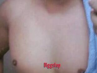 Diggstop