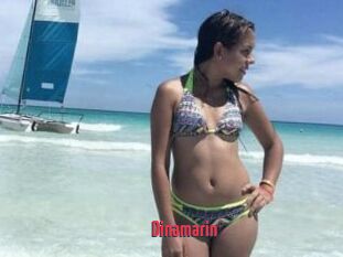 Dinamarin