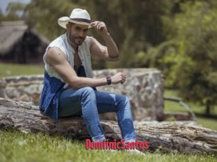 DomiinicSantos
