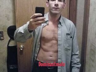 Dominantmale