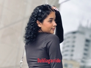 Dahliagarrido