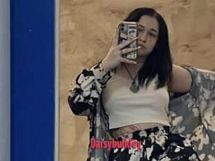 Daisybulkley