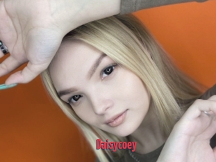 Daisycoey