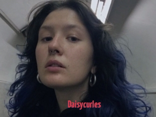 Daisycurles