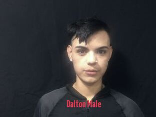 Dalton_Male
