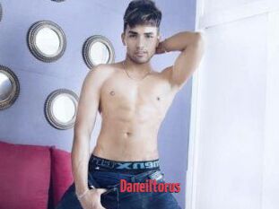 Daneil_torus
