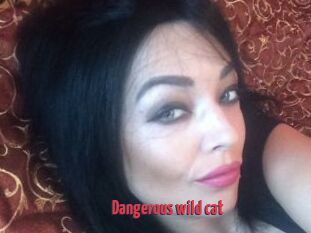 Dangerous_wild_cat