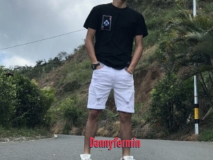Dannyfermin