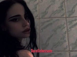 Darellebossom