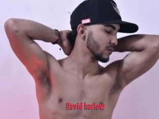 David_harlow