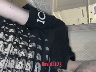 David1123