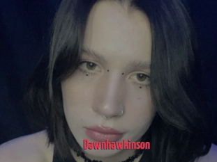 Dawnhawkinson