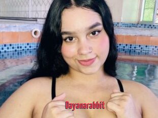 Dayanarabbit