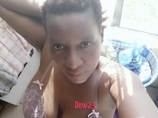 Dew23