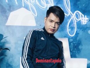 Dominantapolo