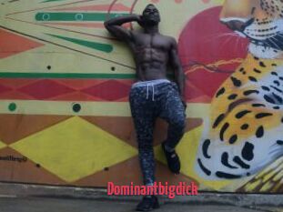 Dominantbigdick