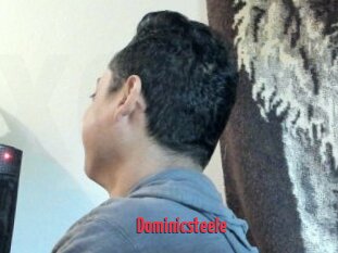 Dominicsteele