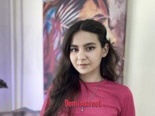 Dominoarnet