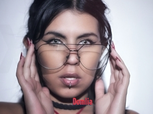Domlia