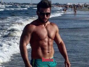 Domluc