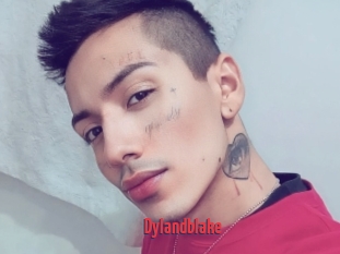 Dylandblake