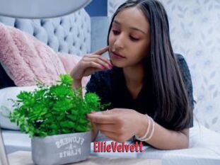 EllieVelvett