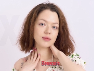 Elenecaris
