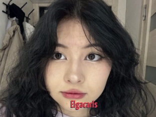 Elgacarls