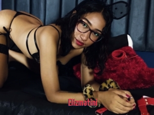Elizmatini