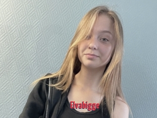 Elvabigge