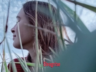 Elvagrise