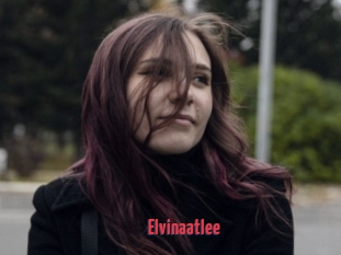 Elvinaatlee