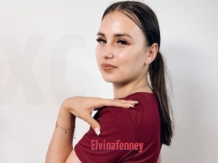 Elvinafenney