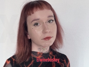 Elwinebuskey
