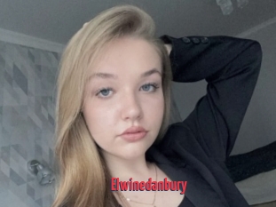 Elwinedanbury