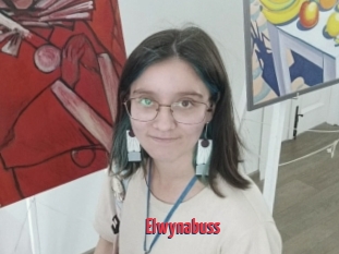 Elwynabuss