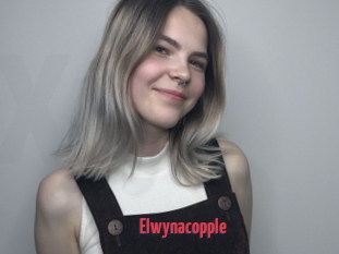 Elwynacopple