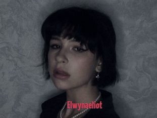 Elwynaeliot