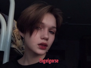 Engelgorse