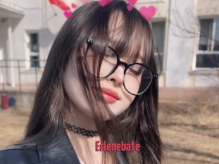 Erlenebate