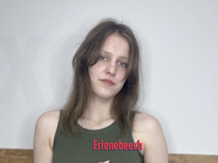 Erlenebeech