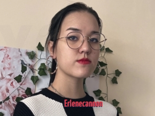 Erlenecannon