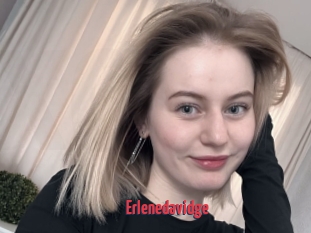 Erlenedavidge