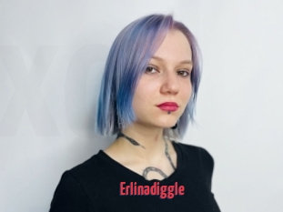 Erlinadiggle