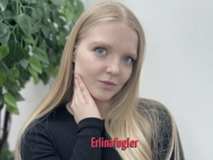 Erlinafugler