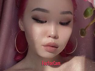 FactorCam