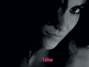Feline