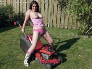 Feuchteywi