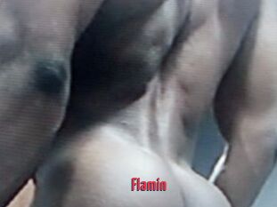 Flamin